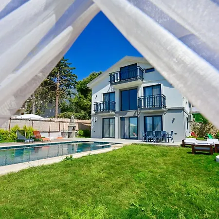 Aura Luxury-modern Stylish For 6 Peeople * フェティエ