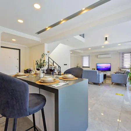 Aura Luxury-modern Stylish For 6 Peeople * フェティエ