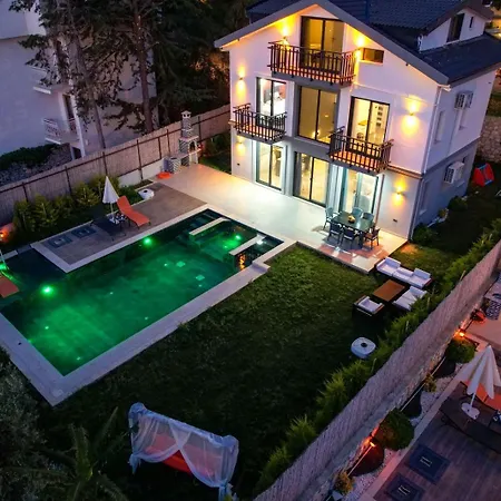 Aura Luxury-modern Stylish For 6 Peeople * フェティエ