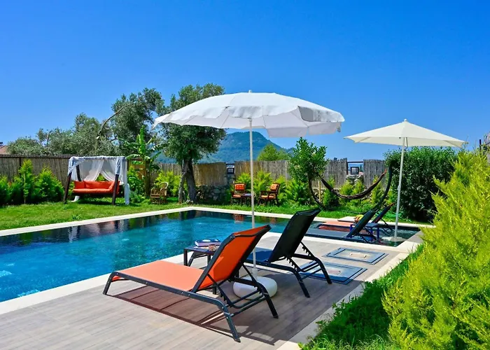 Aura Luxury-modern Stylish For 6 Peeople